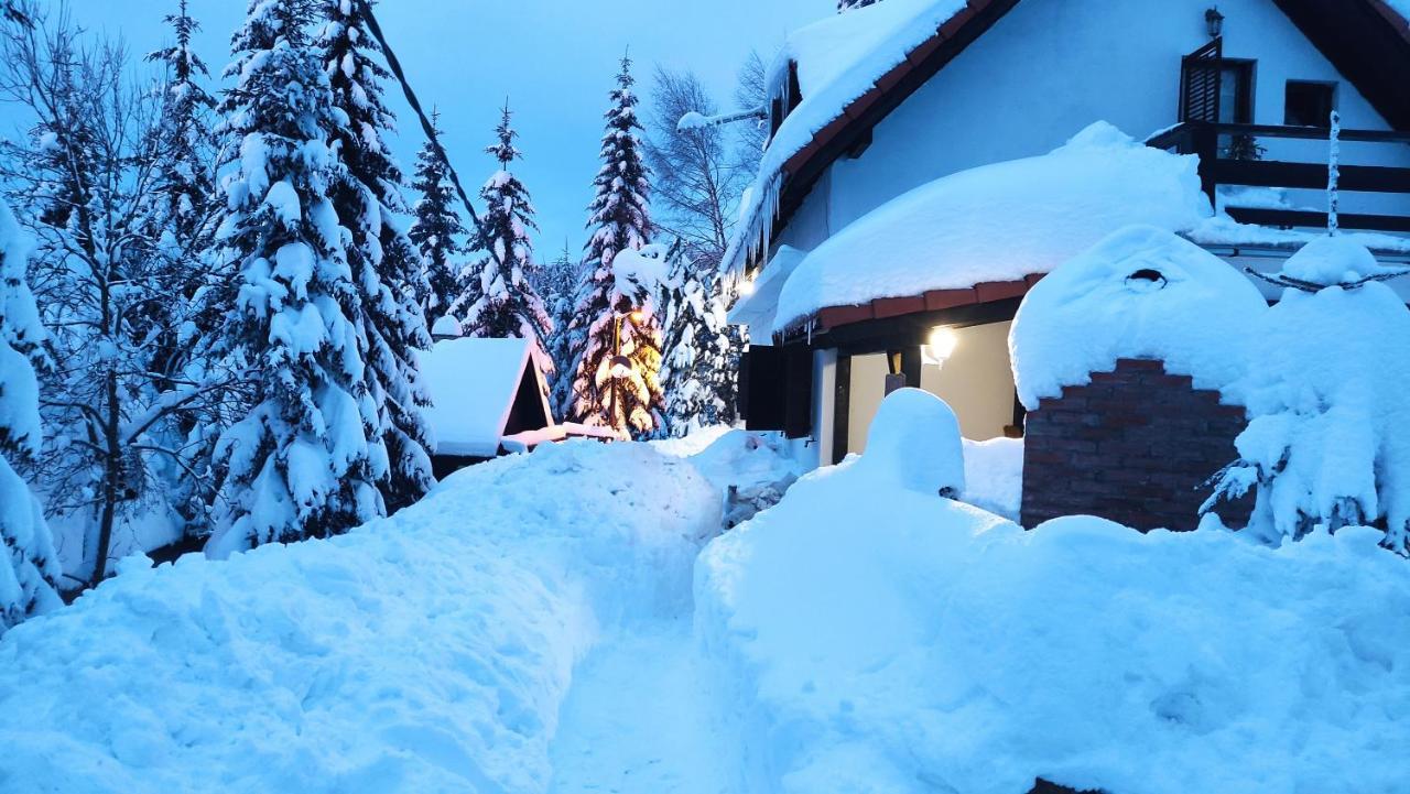 Hotel Uki & Sofi Mountain House Kopaonik Exterior foto
