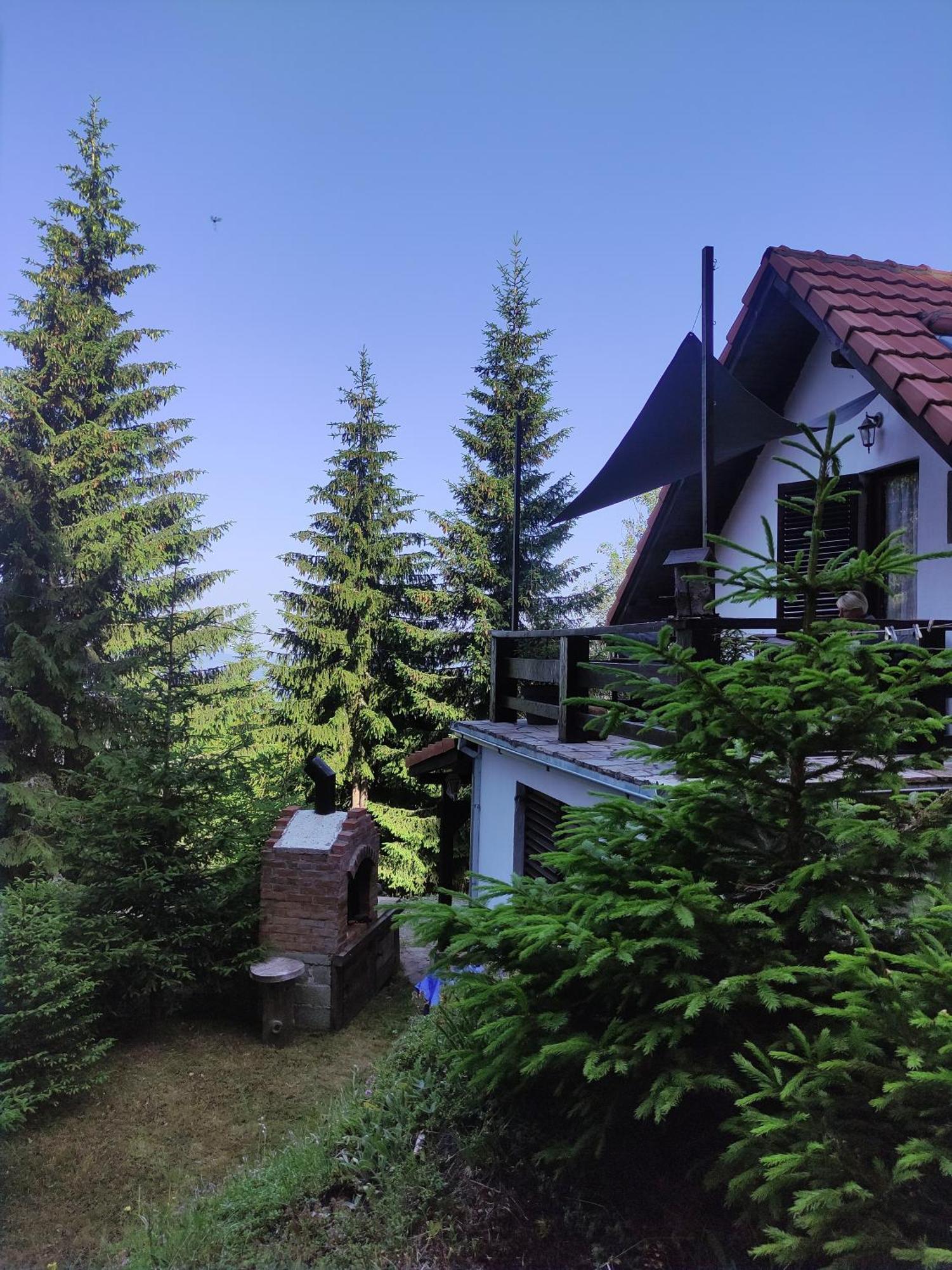 Hotel Uki & Sofi Mountain House Kopaonik Zimmer foto