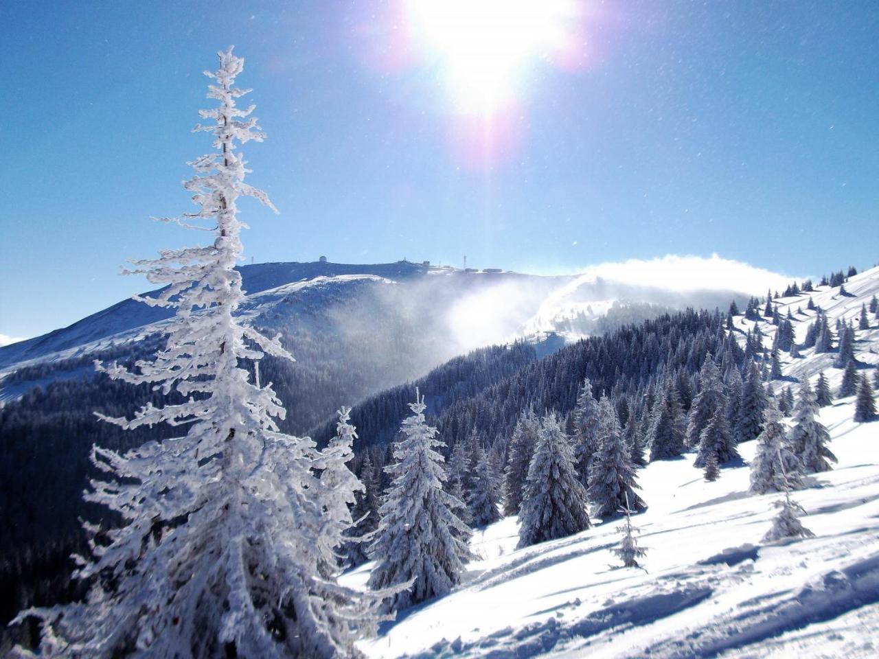 Hotel Uki & Sofi Mountain House Kopaonik Exterior foto